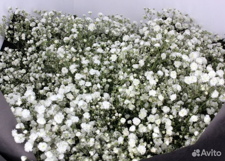 Доствка цветов 24/7