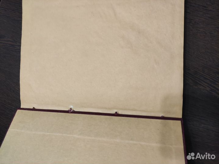 Зверев., Эфрос