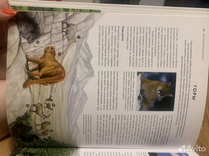 Энциклопедия о всех животных мира