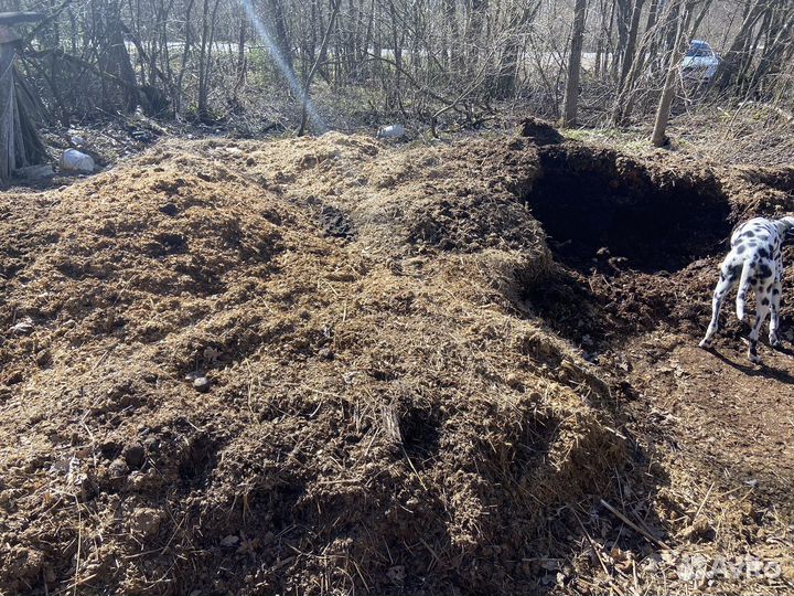 Конский навоз