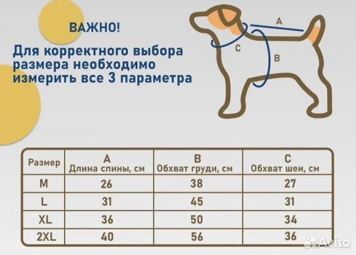 Костюм для маленьких собак
