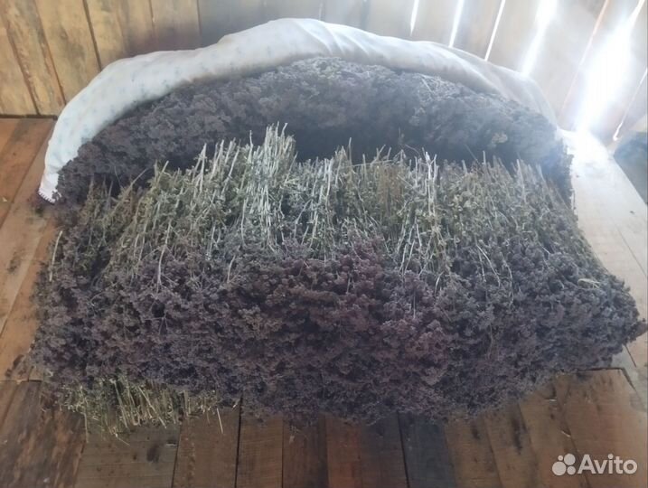 Сухие травы