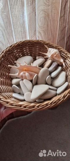 Морские ракушки и камни