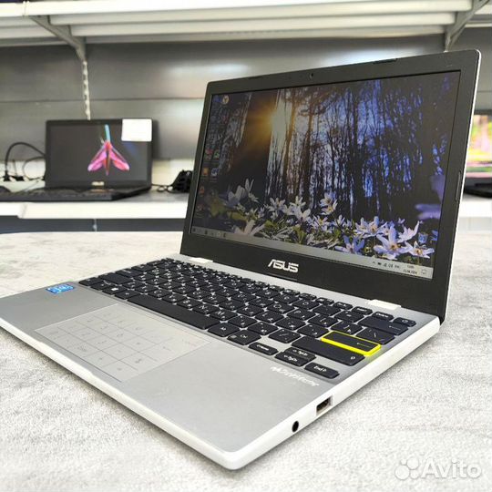Нетбук asus E210m 11.6