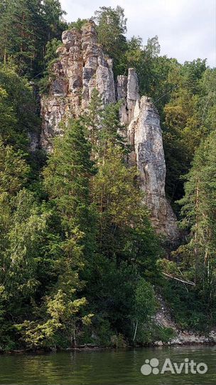 Поездка в Святые кустики