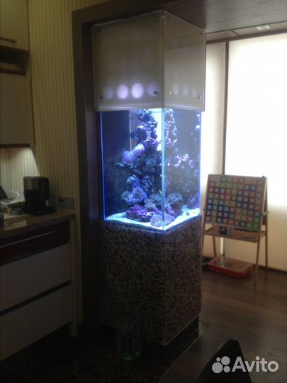 Аквариум, ремонт