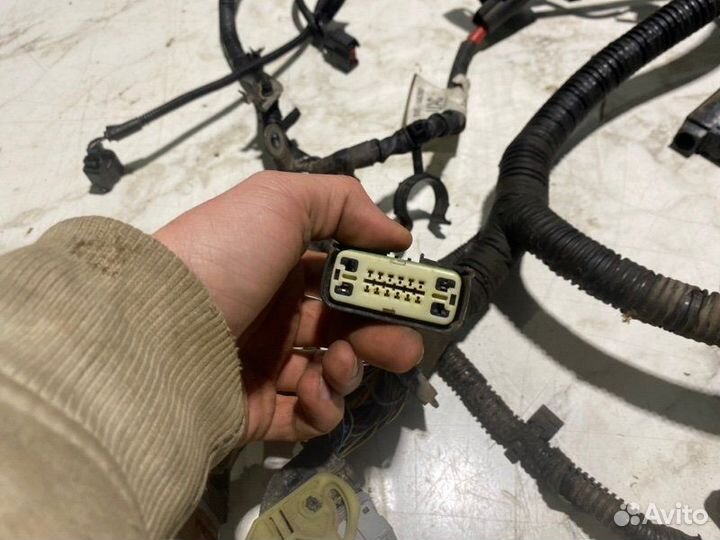 Проводка подкапотная Ford Focus pnda 2014