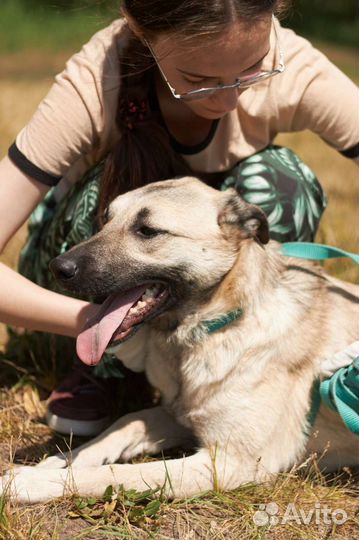 Молоденькая Карамелька