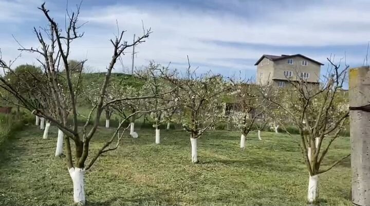 Дом 254,5 м² на участке 10 сот.