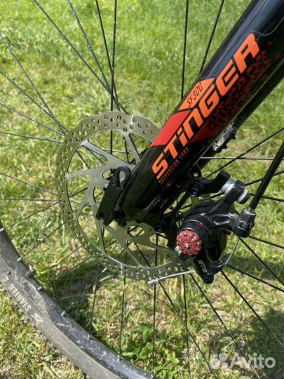 Горный велосипед Stinger Element Evo 29