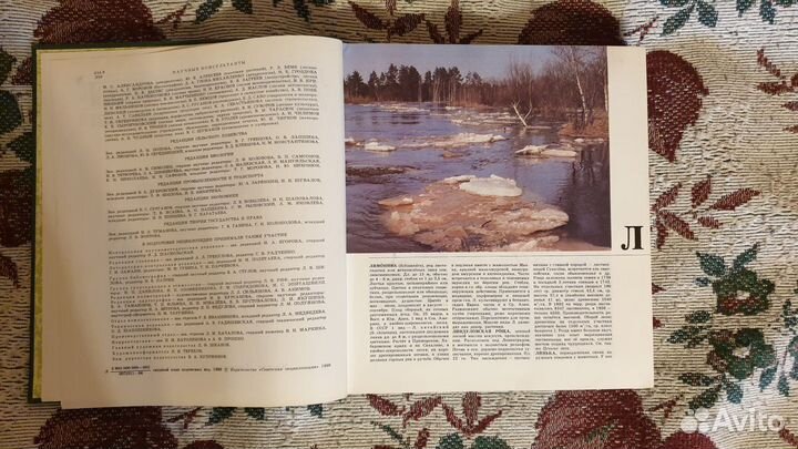 Лесная энциклопедия в 2-х томах