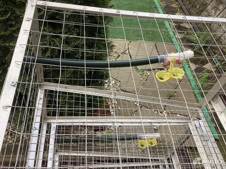 Клетки для кур