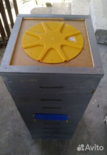 Улей нуклеус