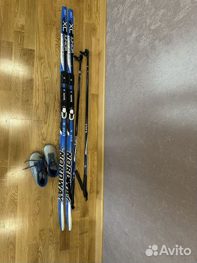 Беговые лыжи