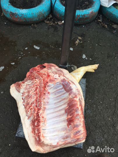 Домашняя свинина