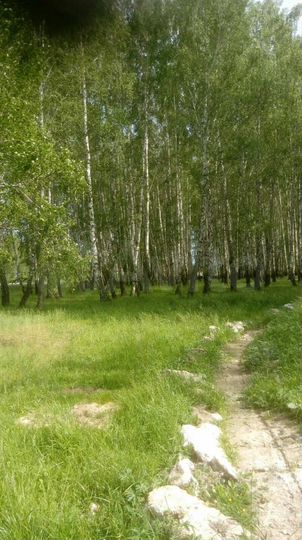Участок 15 сот. (ИЖС)