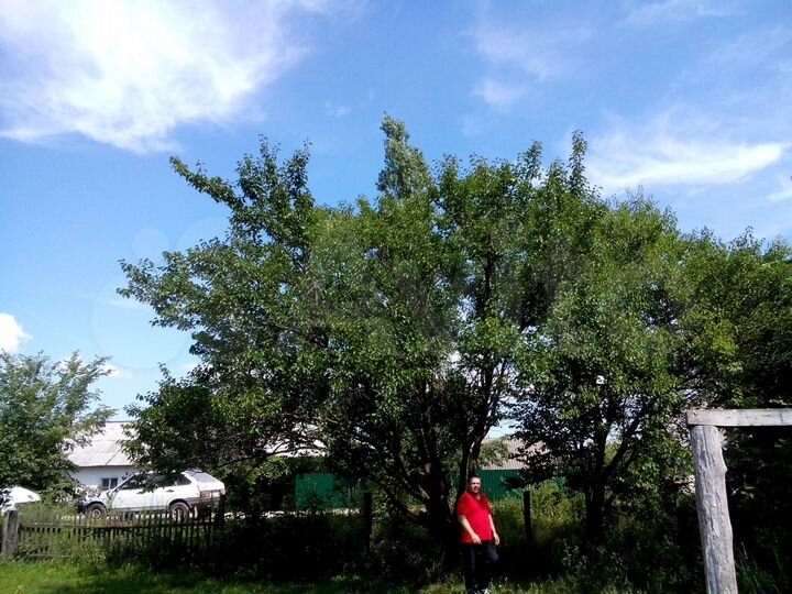 Дом 80 м² на участке 30 сот.