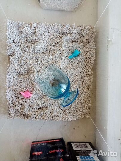 Аквариум 11 л