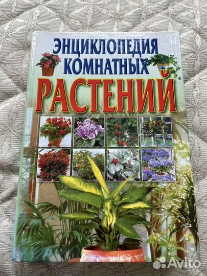 Книга Энциклопедия комнатных растений