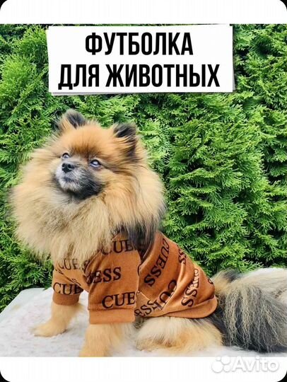 Футболка для животных / Кофта для собак и кошек