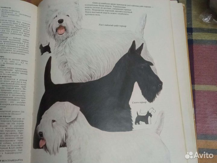 Книга Ваша Собака Джоан Палмер