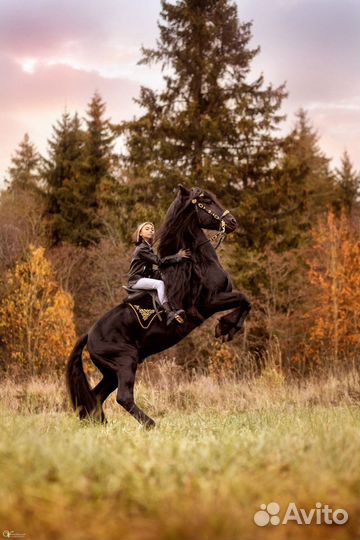 Конная фотосессия, фото с лошадьми
