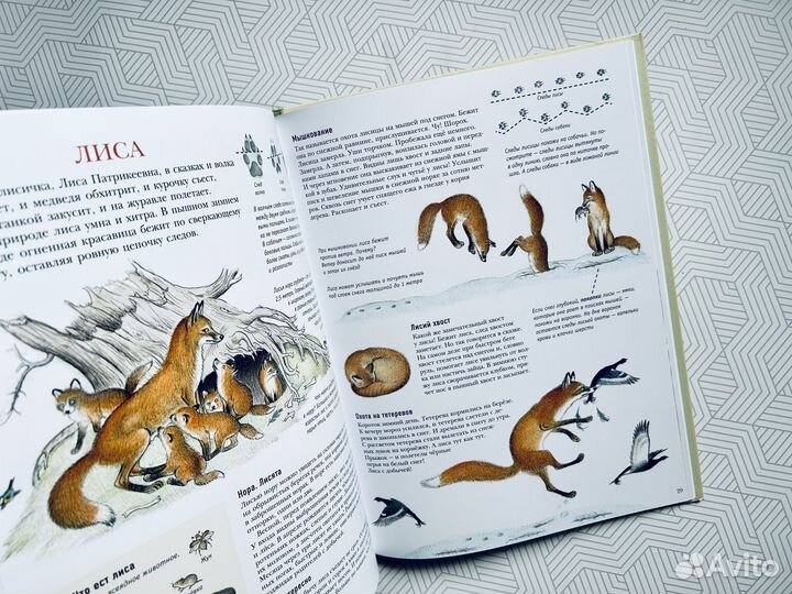 Книги новые изд Мелик-Пашаев