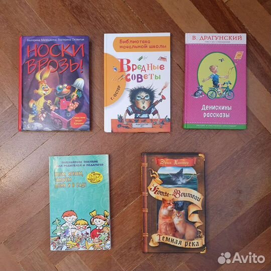 Коты-воители, Денискины рассказы, Носки врозь