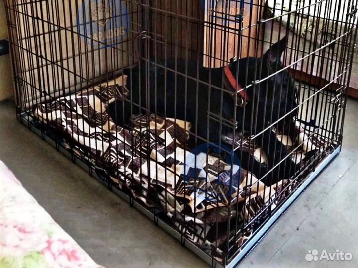 Клетка для собак