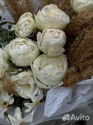 Пионы белые