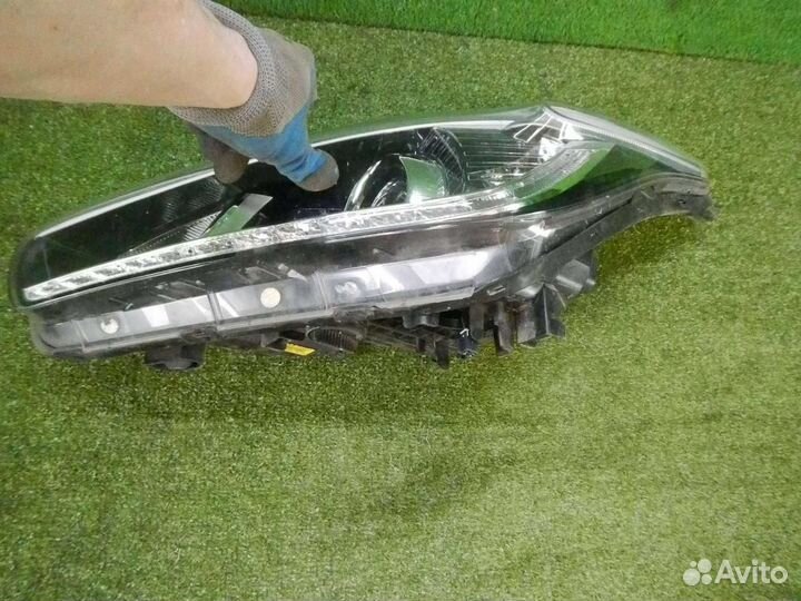 Фара левая Kia Ceed