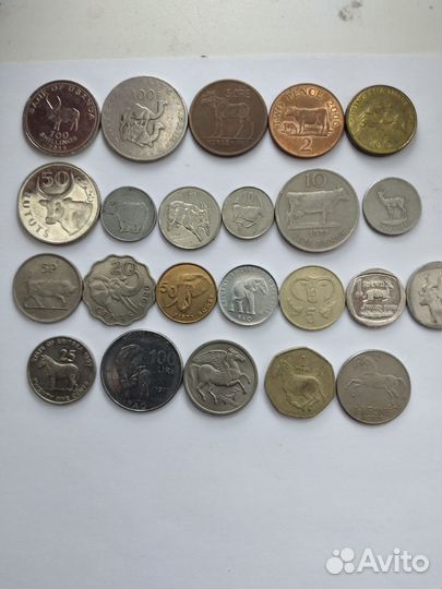 Монеты