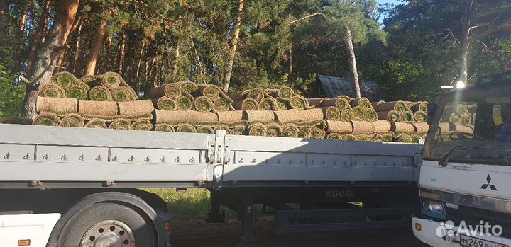 Рулонный газон