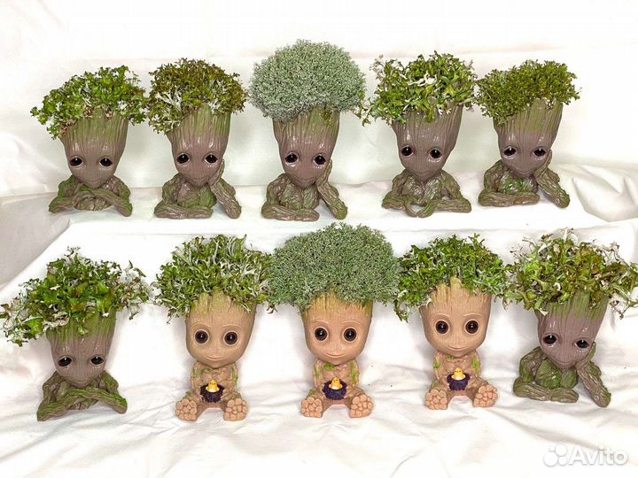 Груты и деревья из цетрарии