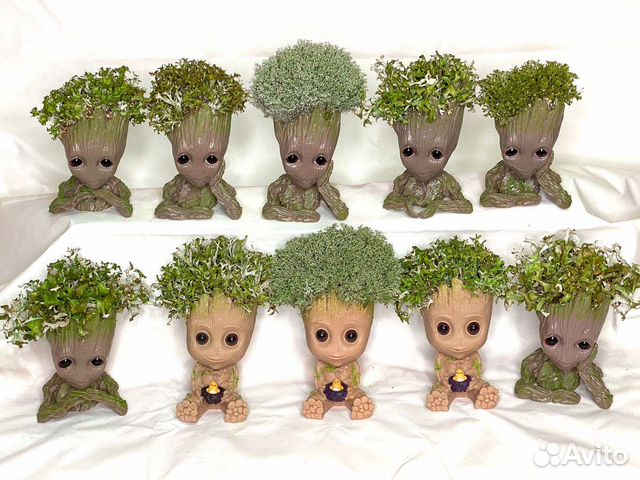 Груты и деревья из цетрарии