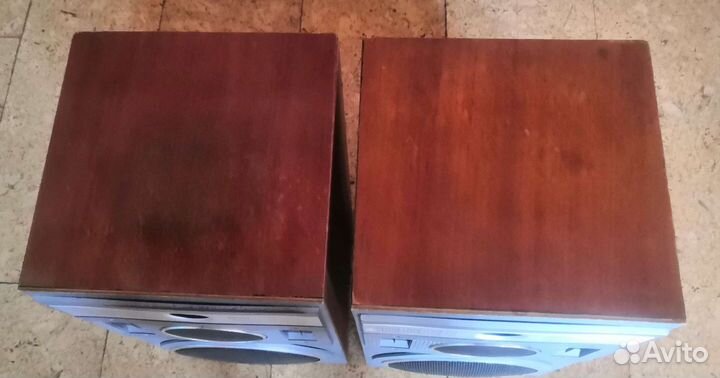 Колонки Вега 50ас 104