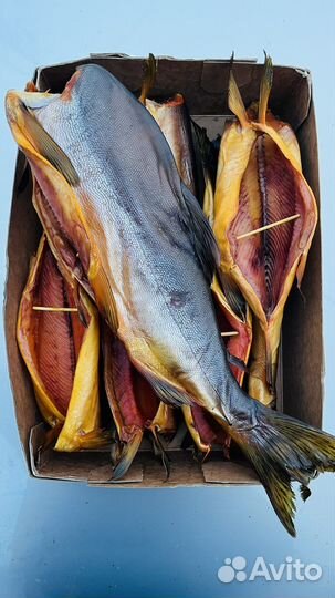 Рыба холодного копчения