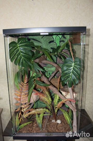 Террариум для ящериц и пауков