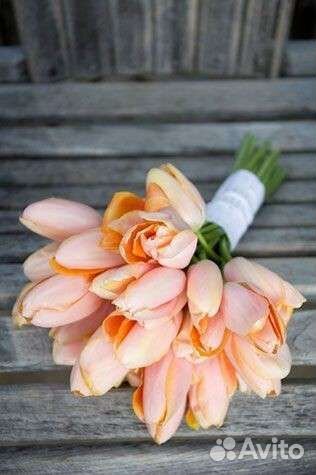 Тюльпаны к 8 марта оптом