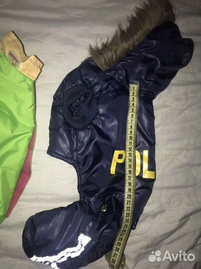 Одежда для собак мелких пород