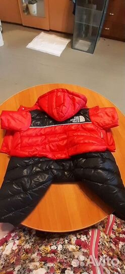 Комбинезон для собачки