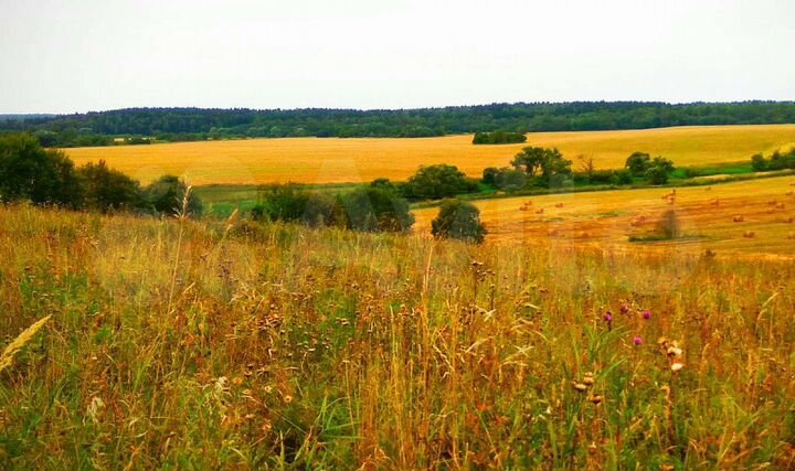 Участок 10 сот. (СНТ, ДНП)