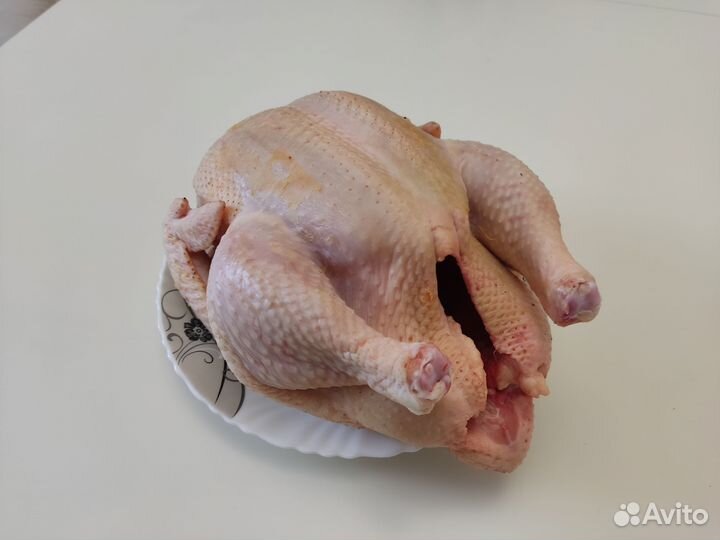 Домашнее мясо кур бройлера