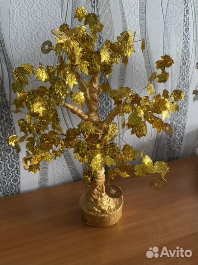 Денежное дерево