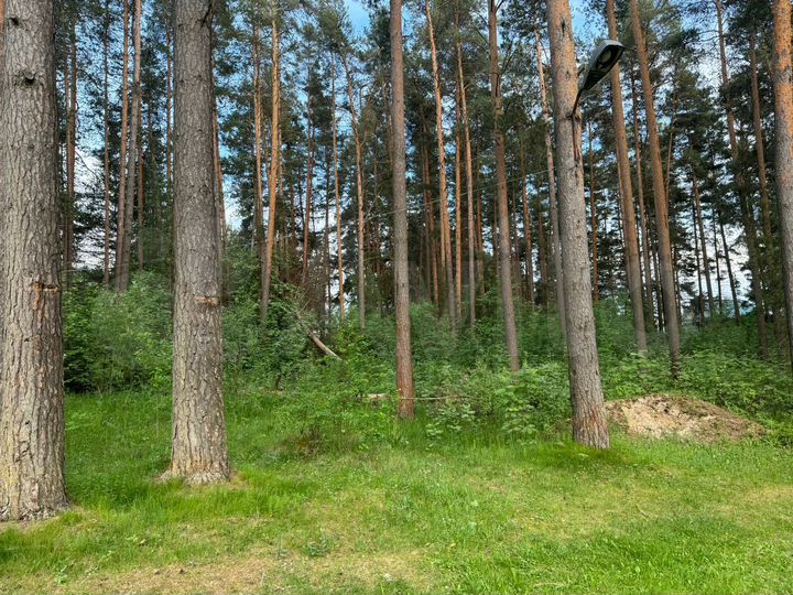 Участок 30 сот. (ИЖС)