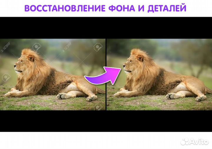 Фотомонтаж / Услуги фотошопа / Редактирование PDF