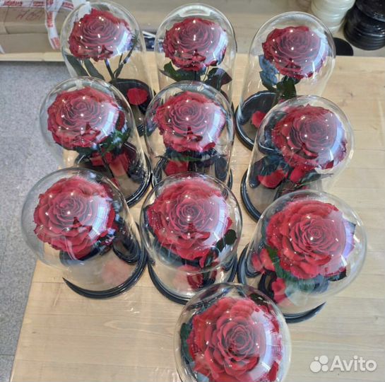 Роза в колбе бордо