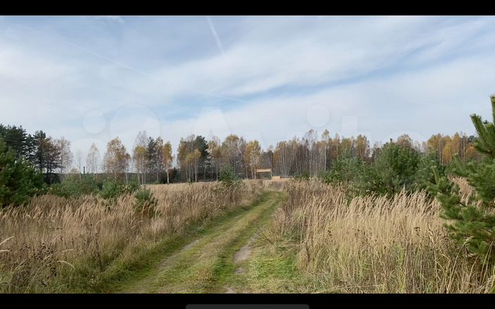 Участок 1,2 га (СНТ, ДНП)