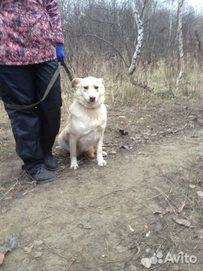 Нежная, милая Кэтти верит в чудо