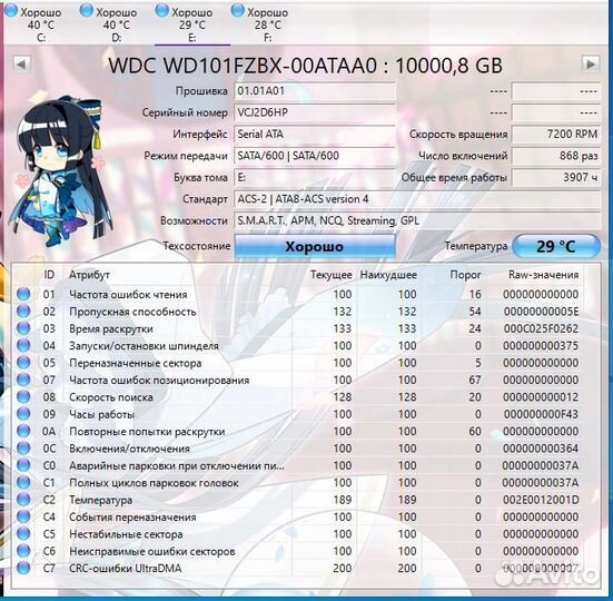 Жесткий диск WD Black 10 tb